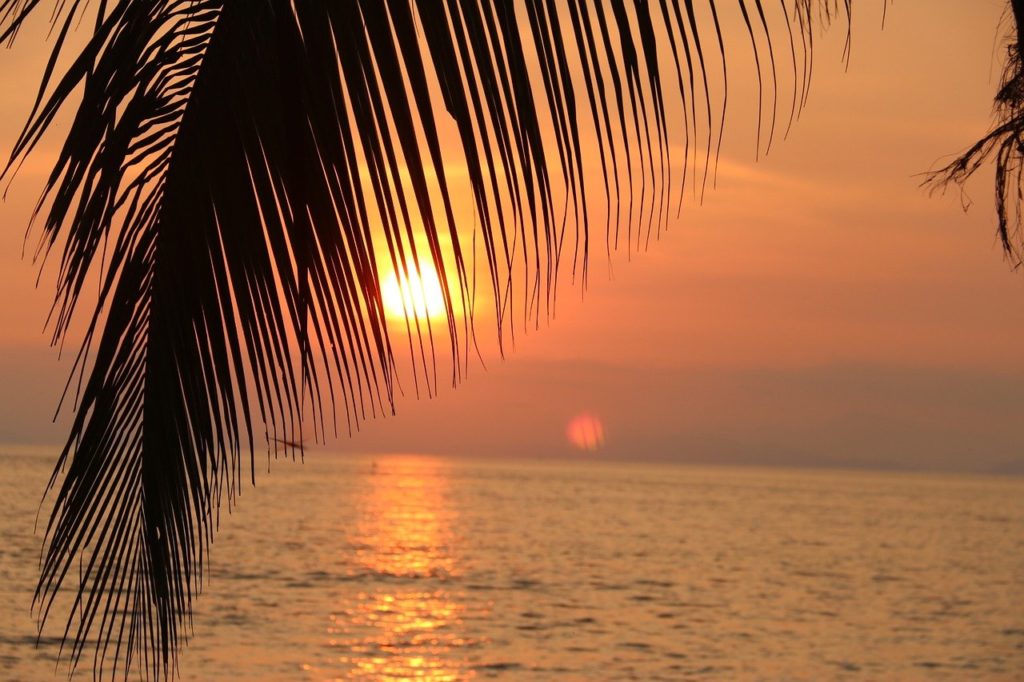 Palmenblatt mit dem Meer im Hintergrund auf dem sich der Sonnenuntergang spiegelt.