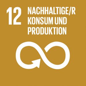 Icon des SDG 12