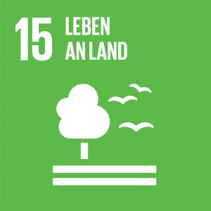 Icon des SDG 15