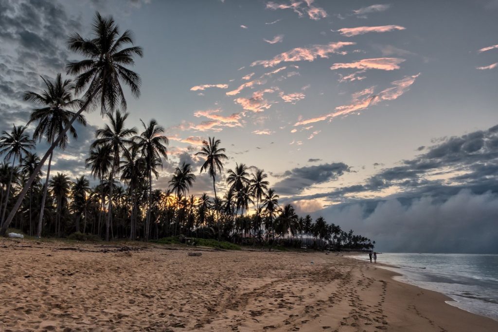 Sonnenuntergangslicht am Strand mit Palmen