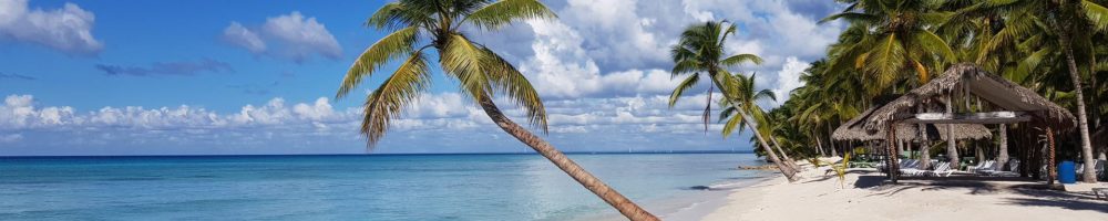 Una playa de la República Dominicana con palmeras y mar