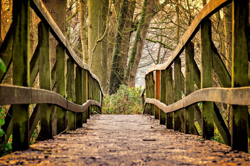 Eine Brücke im Wald mit braunen Blätter auf dem Boden